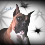 Logan
